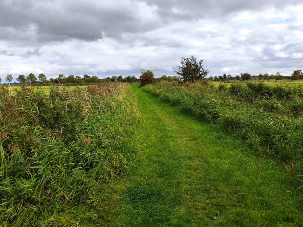 Fußweg Richtung Jever