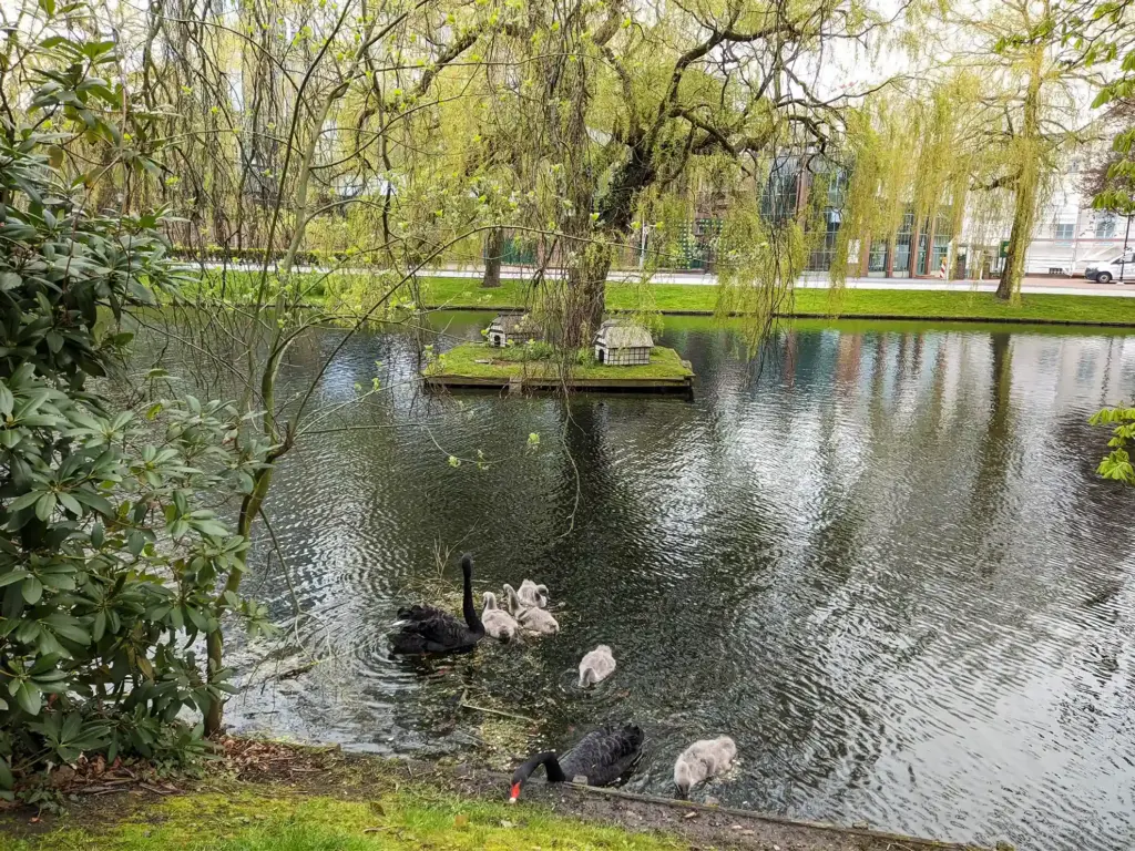 Pferdegraft - Blick von Am Wall